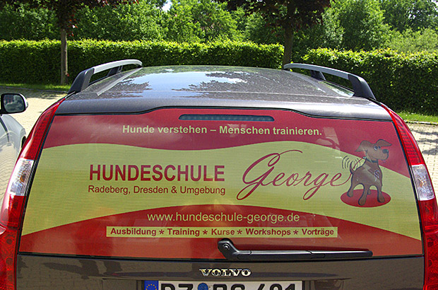 Designfolierung Lochfolie