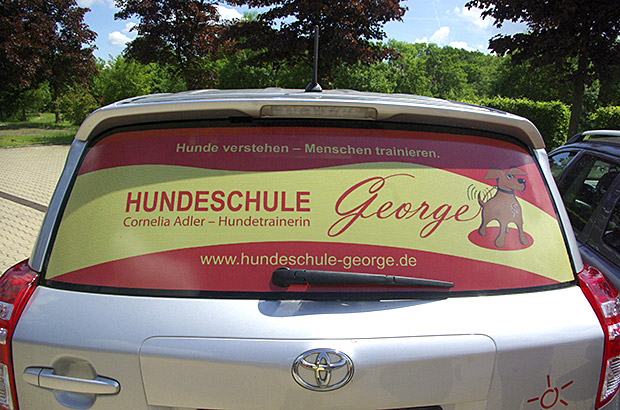 Designfolierung Lochfolie