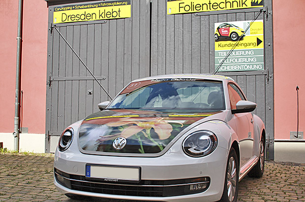 Designfolierung Beetle Hundefoto