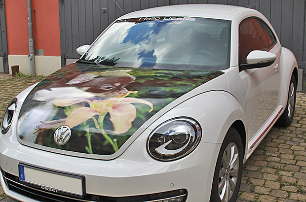 Designfolierung Beetle Hundefoto