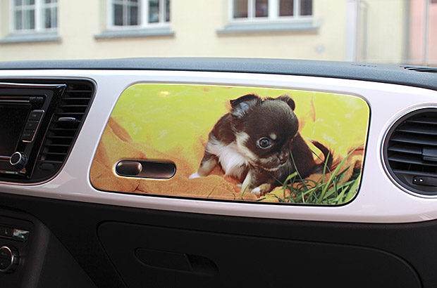 Designfolierung Beetle Hundefoto