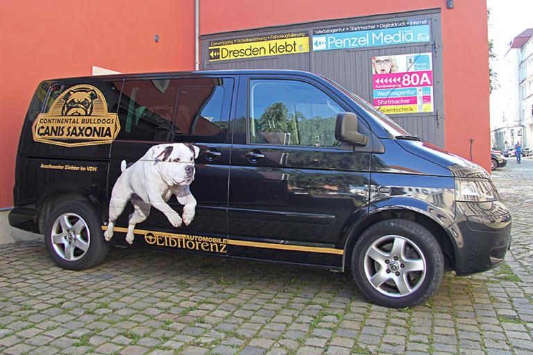 VW-Transporter