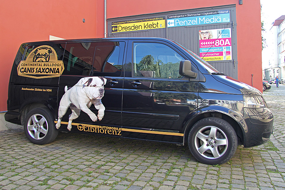 VW-Transporter - Designfolierung